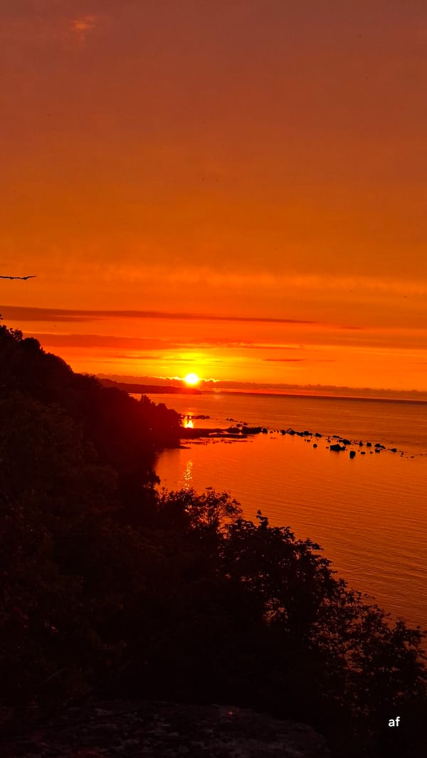 Baltic sunset burns orange over the Tabasalu coastline