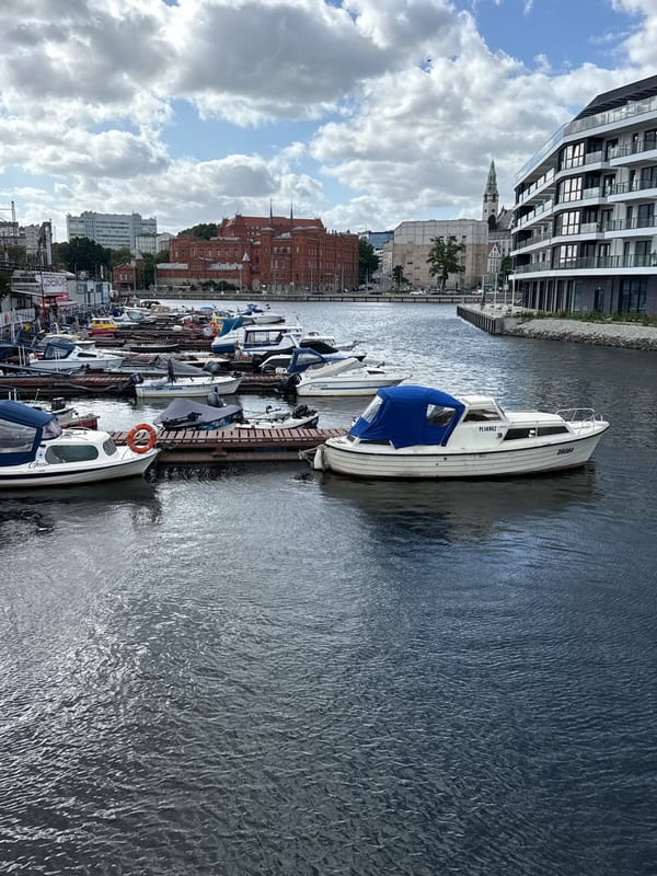 Szczecin waterfront: harbor, lily pads, and modern architecture
