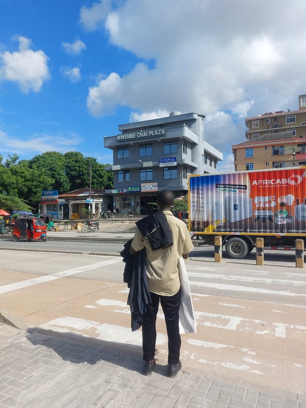 Midday street life observed across Dar es-Salaam crosswalks and sidewalks