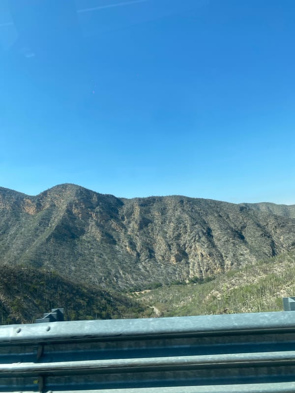 Desert mountain landscape documented in Cerro Verde, Mexico