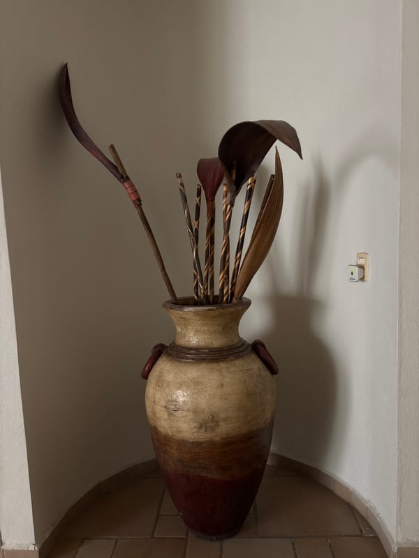 Residential property interior and exterior documented in Chilpancingo