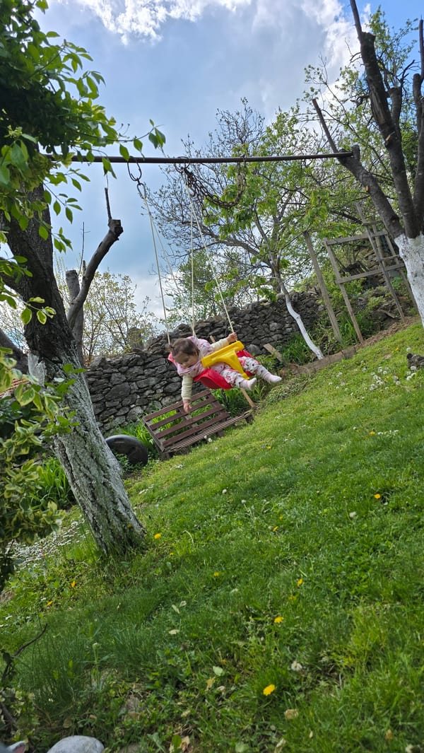 Toddler plays on swing in Bulgarian garden
