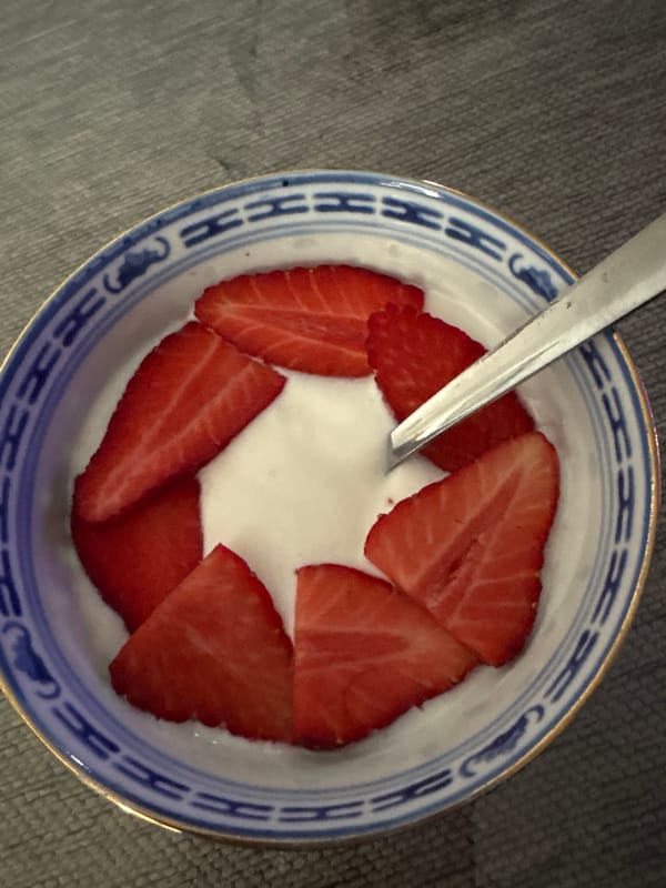 Yogurt and strawberries captured in decorative bowl, Spain