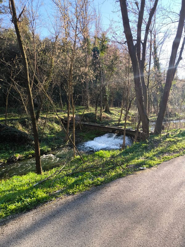 Spring waterway scene observed beneath concrete bridge in Pleven