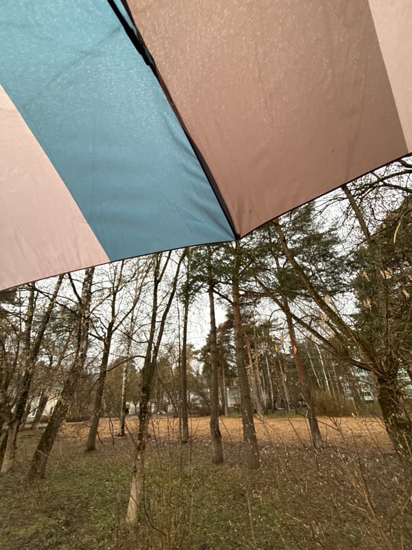 Umbrella view documented in Dmitrov, Russia