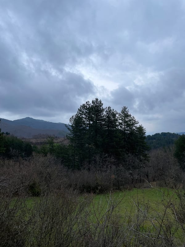 Overcast landscape captured near Zlatograd, Bulgaria