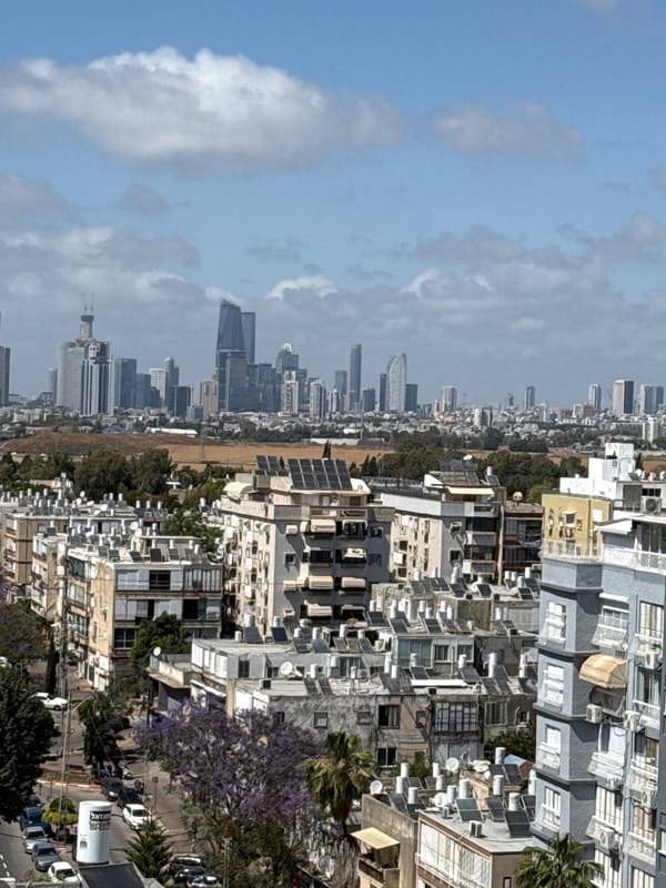 Holon resident documents quiet morning with cat, flowers, cityscape