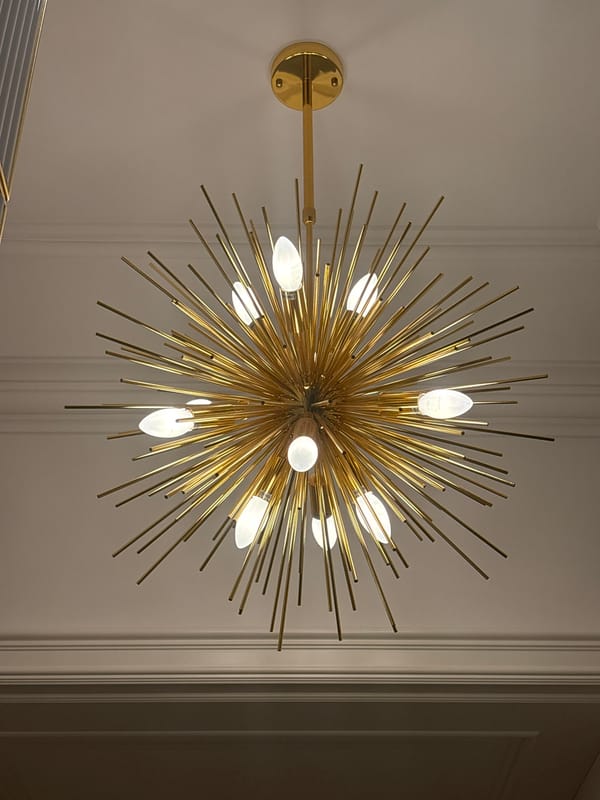 Moscow interior features gold fixtures and resting Siamese cat