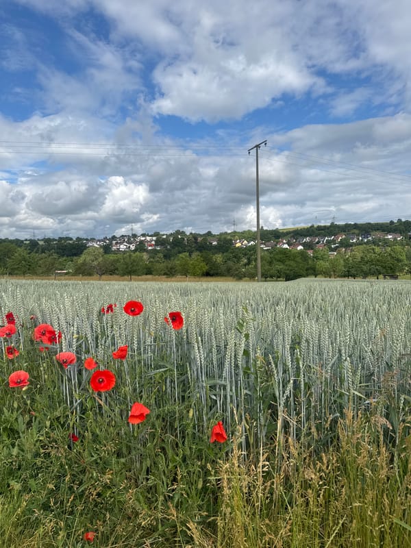 Morning countryside walk documented in rural Sachsenheim, Germany