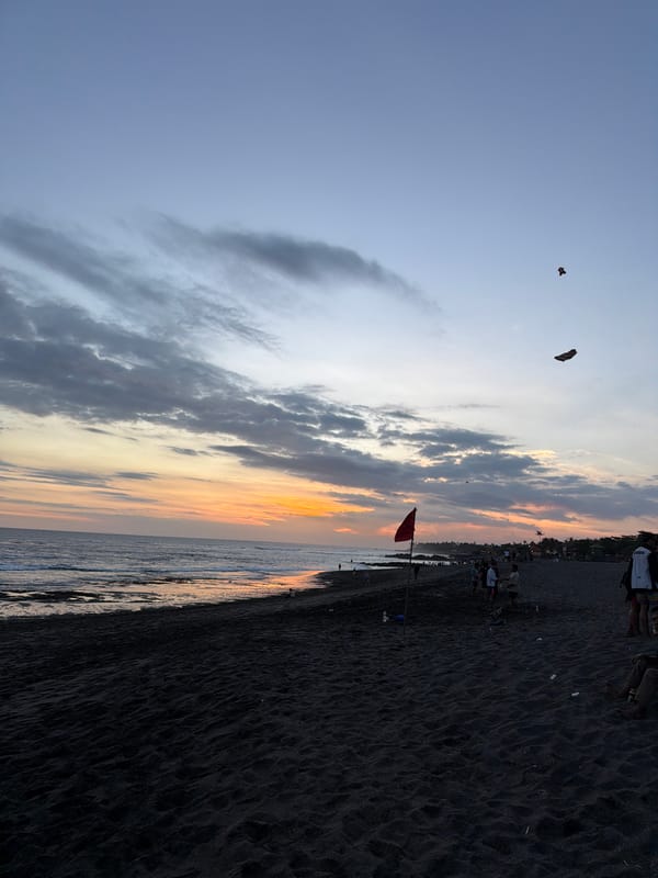 Beach gathering with kites observed on Mengwi's black sand