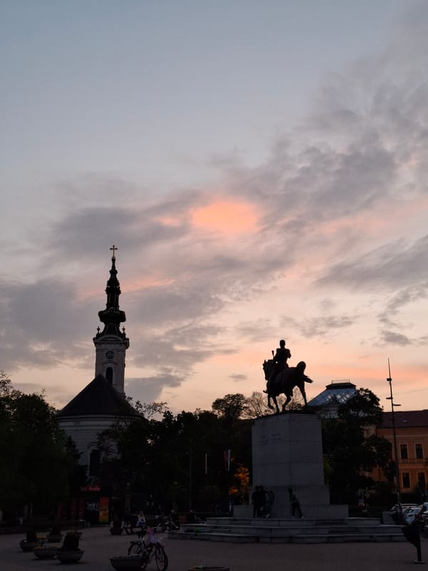 Evening documentation captures Novi Sad landmarks, flowers, and foliage