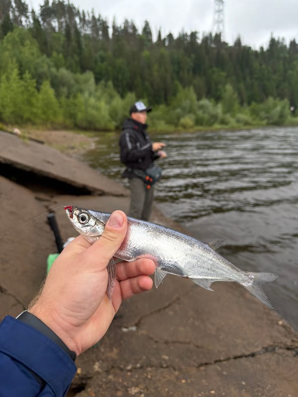 Fishing observed on Chaykovsky riverbank under overcast skies