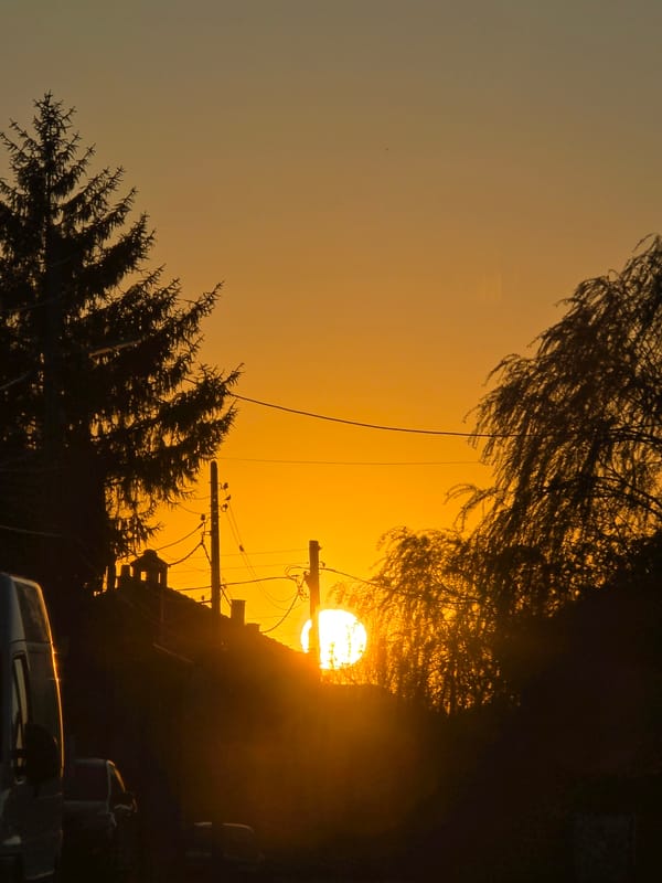 Sunset observed between trees and utility poles in Yagodovo