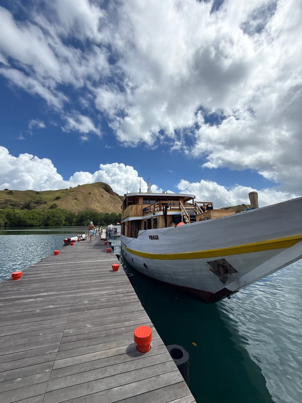 Tourist visits Indonesian wildlife facility featuring Komodo dragons and monkeys