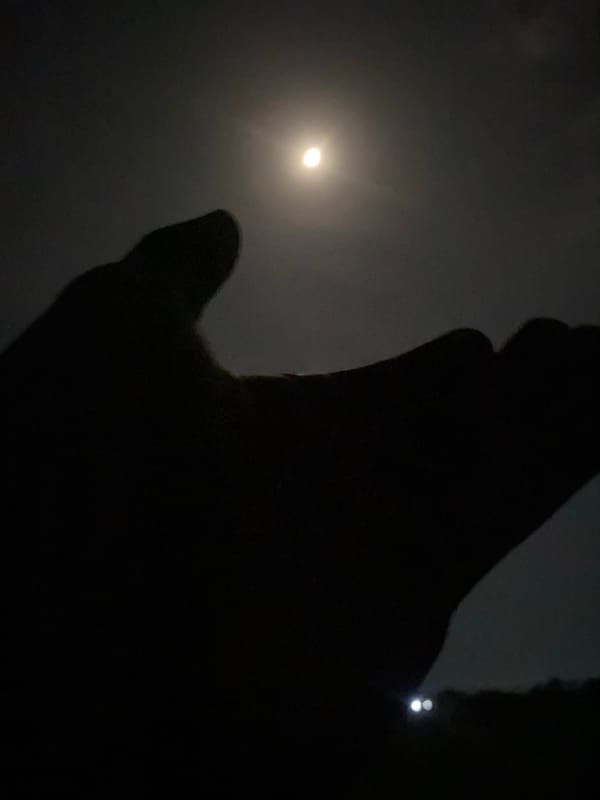 Late-night sky shots and personal motto graphics, rural Nigeria