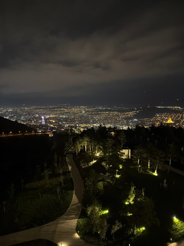 Nighttime cityscape of Tbilisi with lights and park area