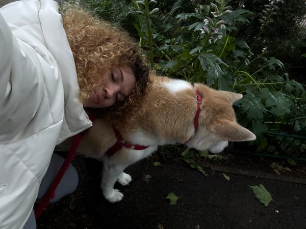 Woman and Akita dog enjoy quiet afternoon in London park