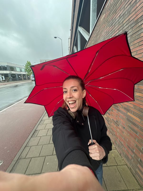 Spring afternoon moments captured across Amsterdam neighborhoods