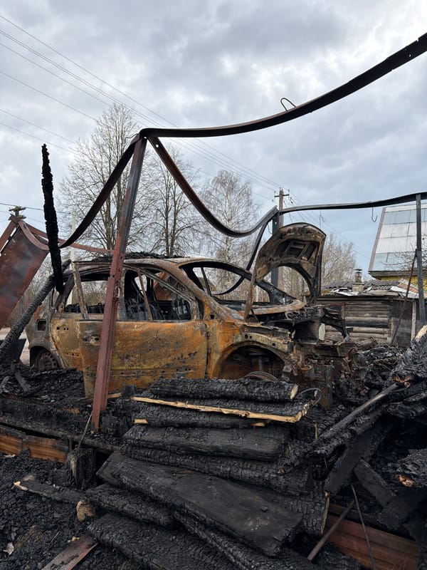 Vehicle fire aftermath and stork activity documented in rural Russia