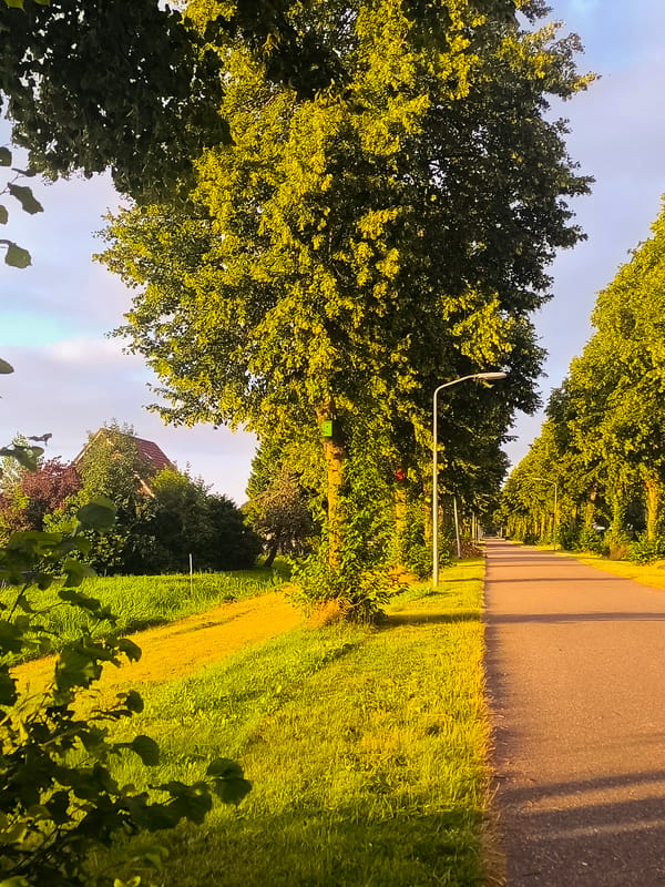 Almere at golden hour: suburban streets, gardens, and a horse ride