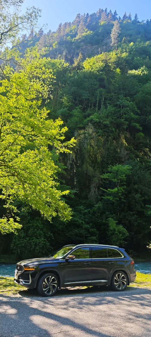 SUV spotted at moss-covered riverside forest in Abkhazia
