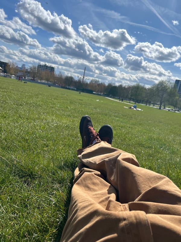 Londoner enjoys sunny afternoon park visit with wildlife