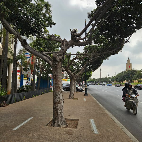 Morning street scenes documented in Rabat, Morocco