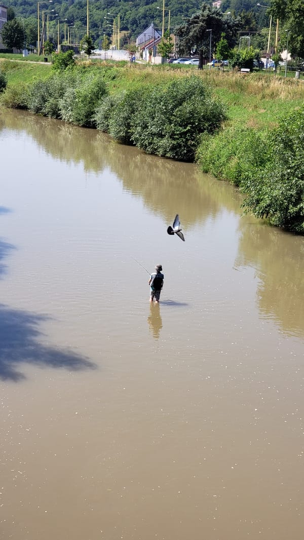 Summer morning on Prešov's rivers and bike paths