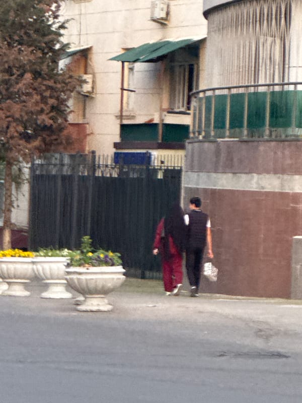 Late night scenes documented across central Tashkent