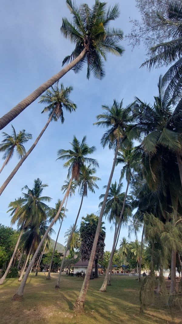 Morning coastal scenes documented in Ko Samui, Thailand