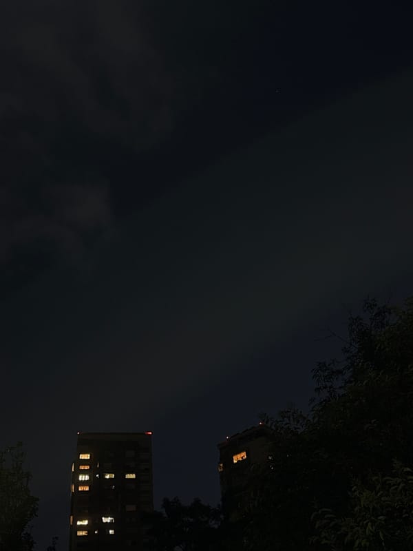 Nighttime scenes of Mexico City streets and stray dog
