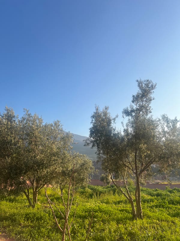 Clear morning skies documented in rural Ouaouizert, Morocco