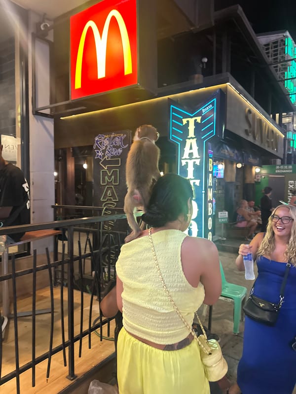 Monkey sits on woman's shoulder near McDonald's in Thailand