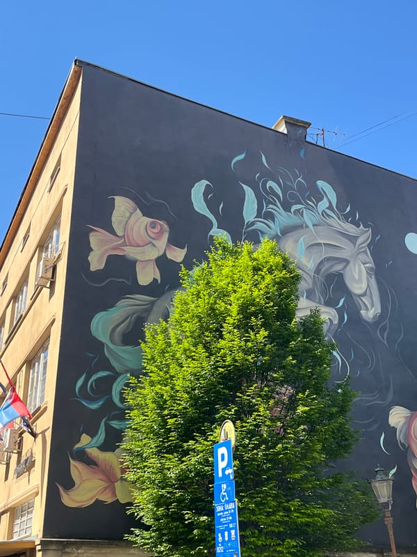 Street art and architecture documented in Novi Sad