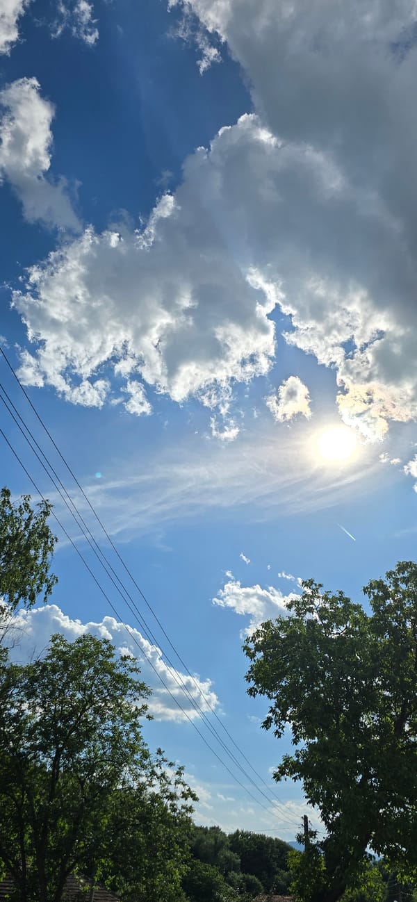 Dogs, cherry trees, and summer skies in rural Vratsa