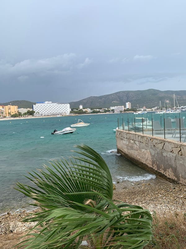 Choppy bay and sailboats along the Calvià coastline