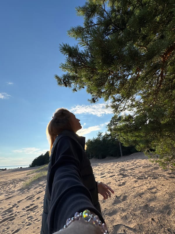 Lazy summer afternoon on a pine-fringed Russian beach