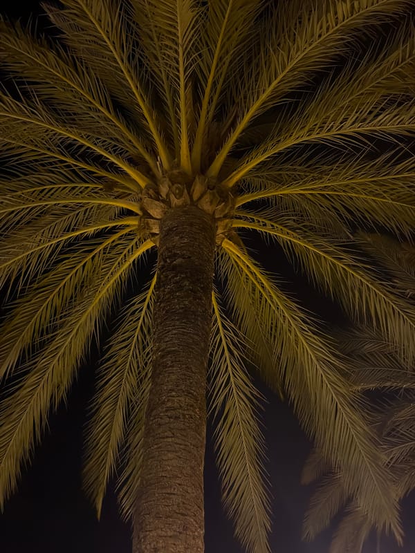 Nighttime street details around Palmanova, Mallorca