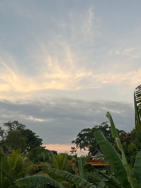 Peaceful tropical sunset scene documented in Ubud, Indonesia