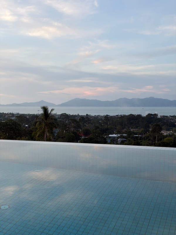 Elevated infinity pool view overlooking water captured by witness
