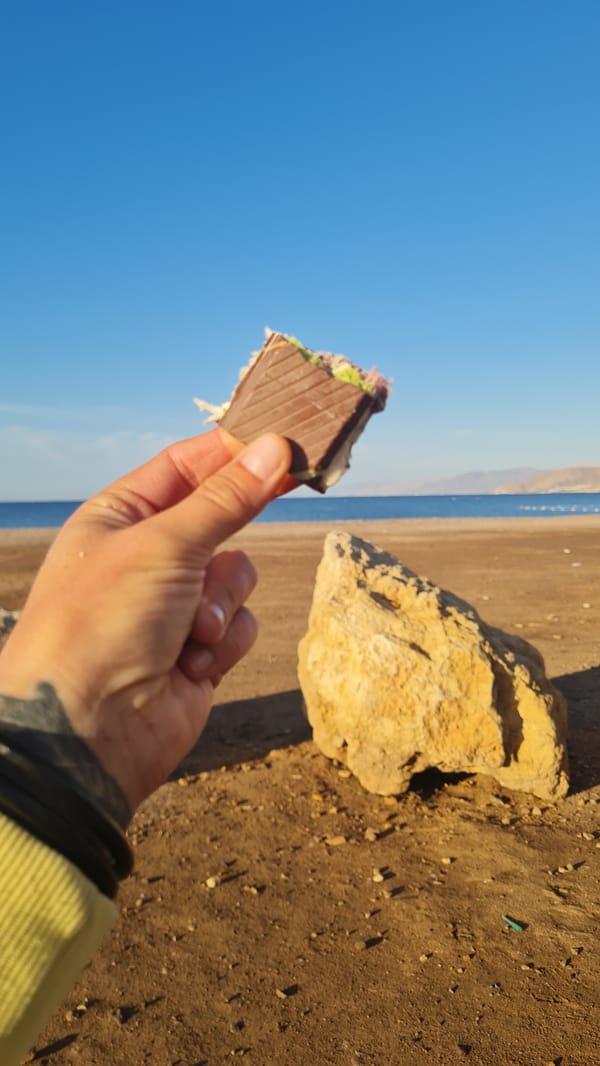 Early morning coastal outing documented in Eilat, Israel