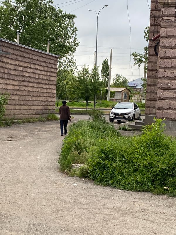 Dog spotted in Gyumri streets during afternoon hours