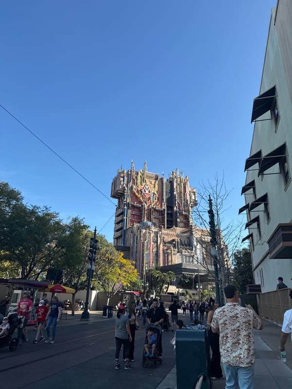 Disney California Adventure visitors capture typical park experiences