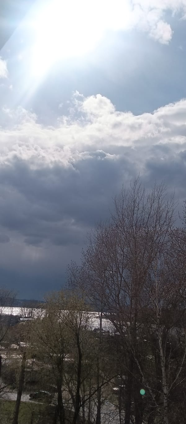 Seasonal landscape transition observed under overcast skies