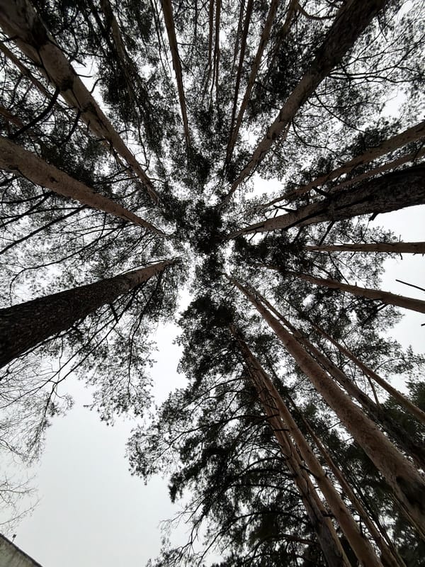 Early morning scenes documented across Chaikovsky, Russia