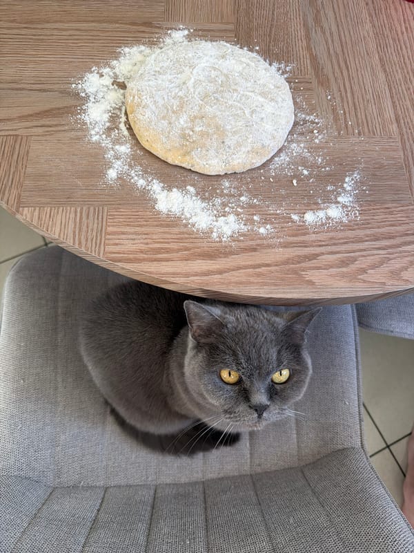 Home cook makes pizza in Riga kitchen, cat observes