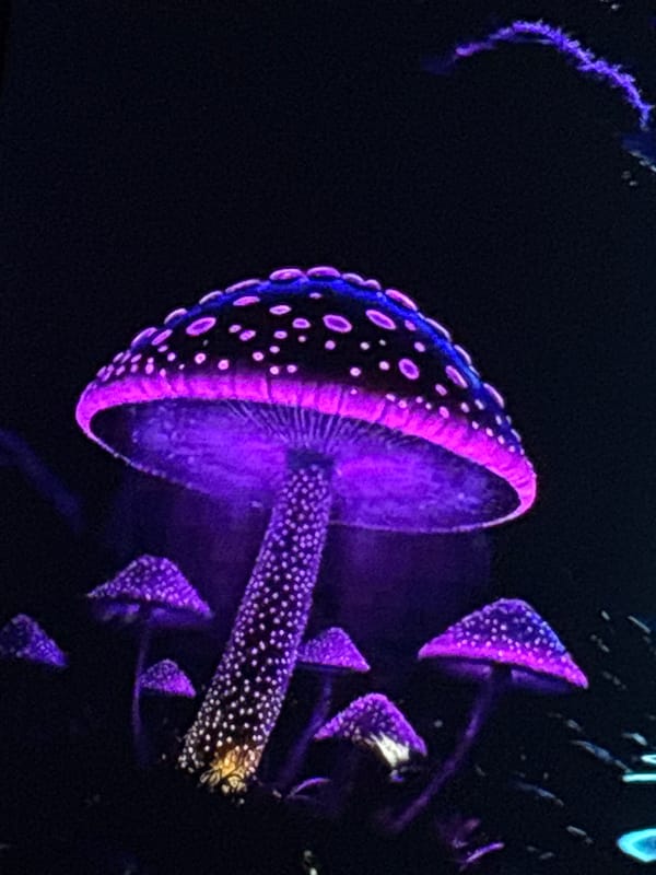 Surreal fantasy digital art series, bioluminescent themes throughout