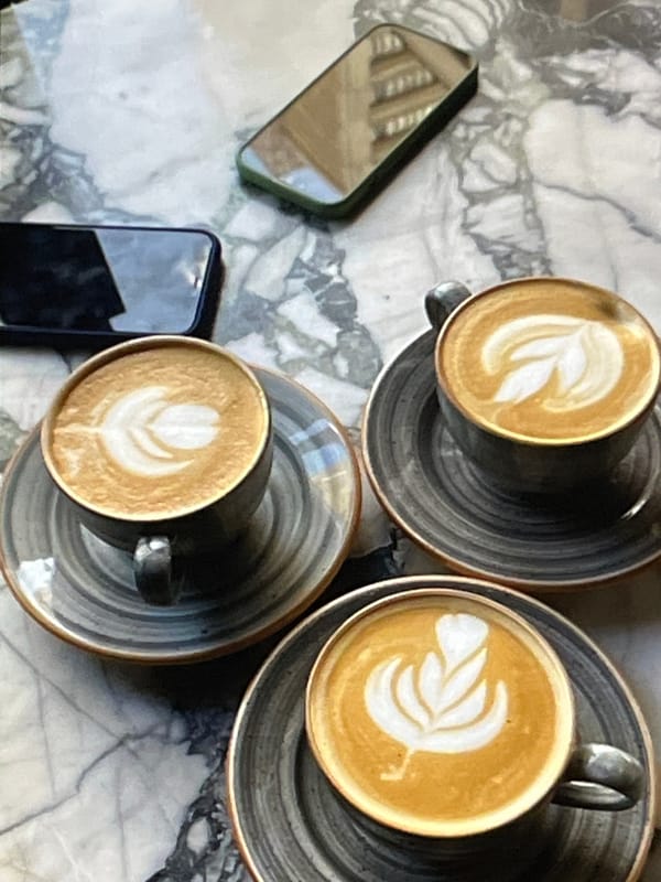Lazy morning: coffee, cats, a hotel room, and a video call