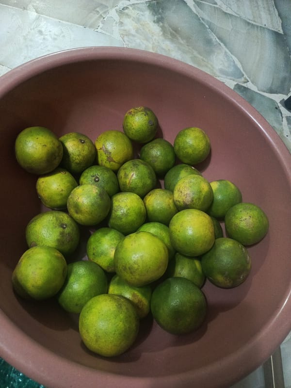 Food preparation items documented in Guayaquil kitchen scene