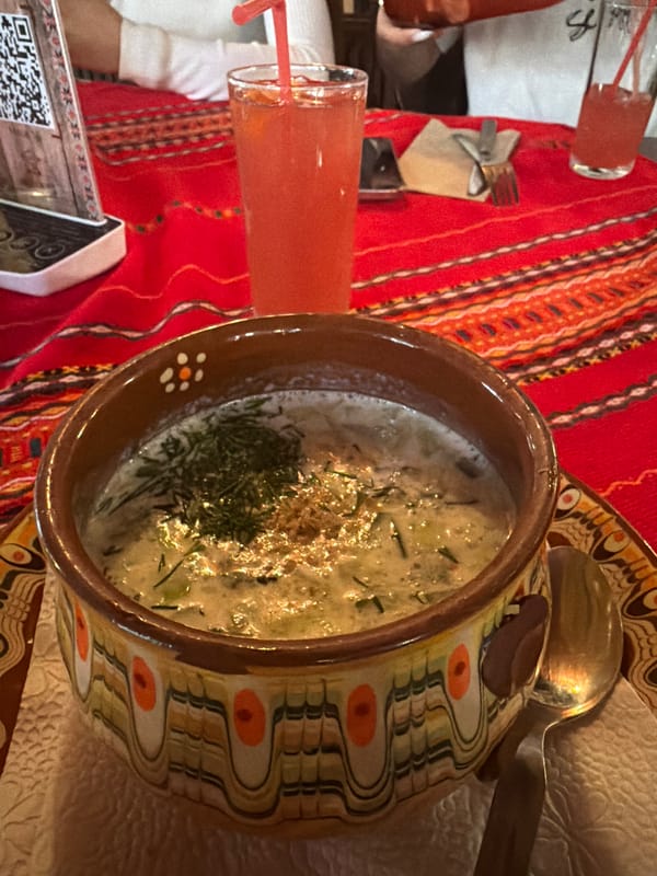 Traditional Bulgarian cold soup served at Panagyurishte restaurant